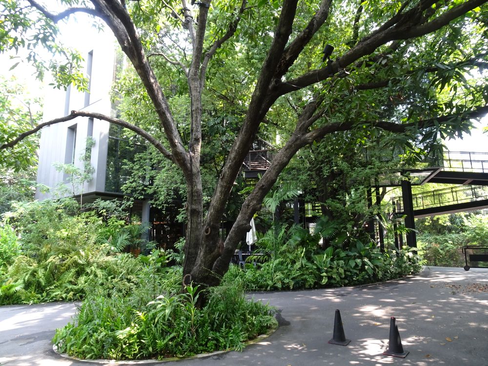 ナイイパ・アート・コンプレックス | タイ の建築【世界建築巡り】-97