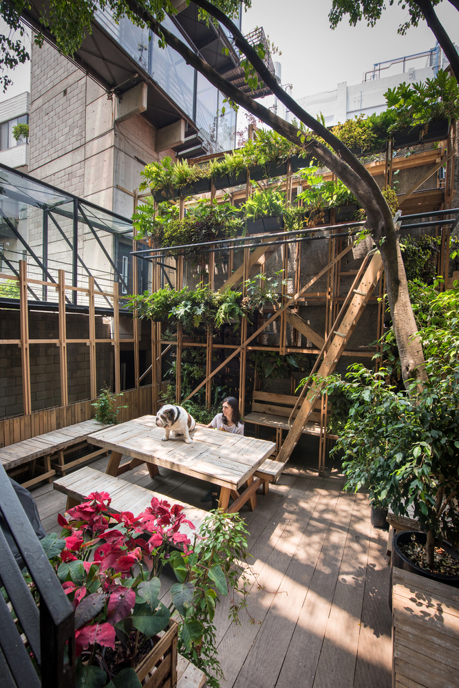 空间假肢 | 激活公寓潜力的木结构脚手架-20