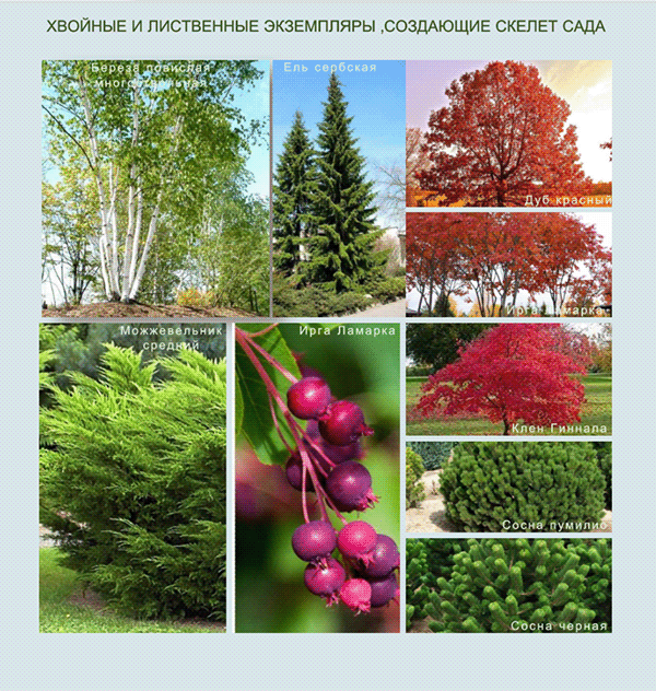 寺庙公共区域设计项目-9