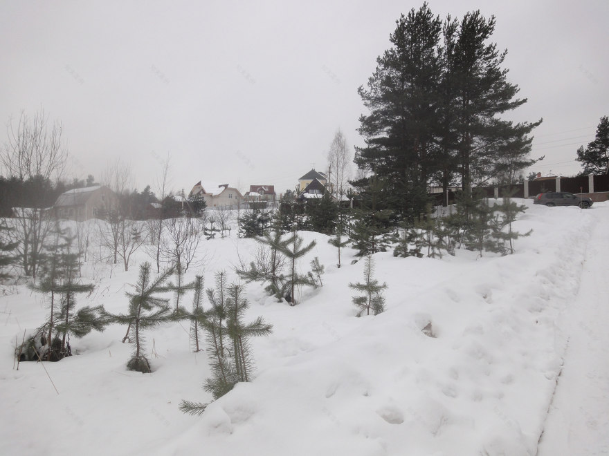 郊区房屋美化与绿化项目-4