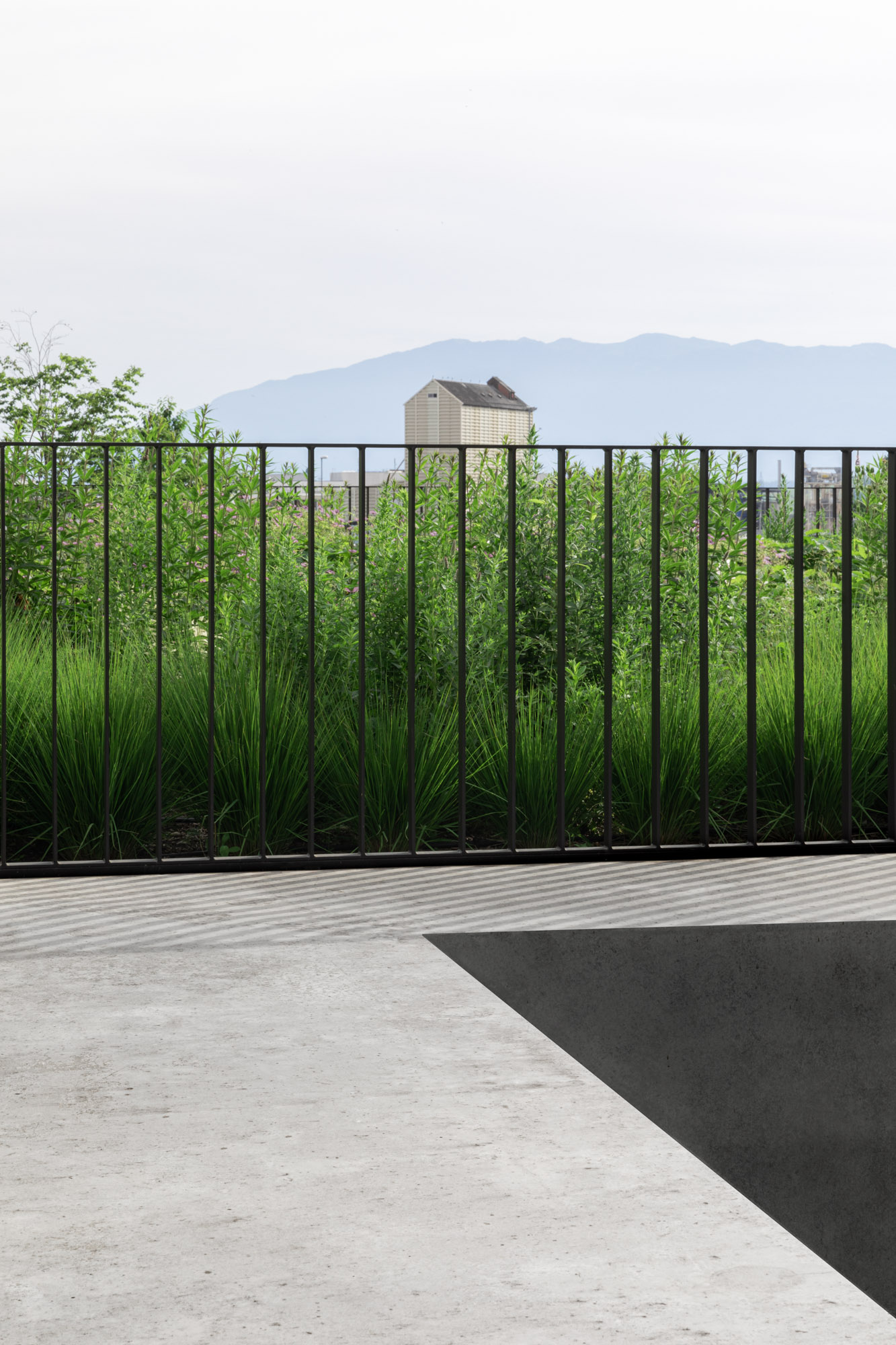 日内瓦校园高端钟表展览中心-20