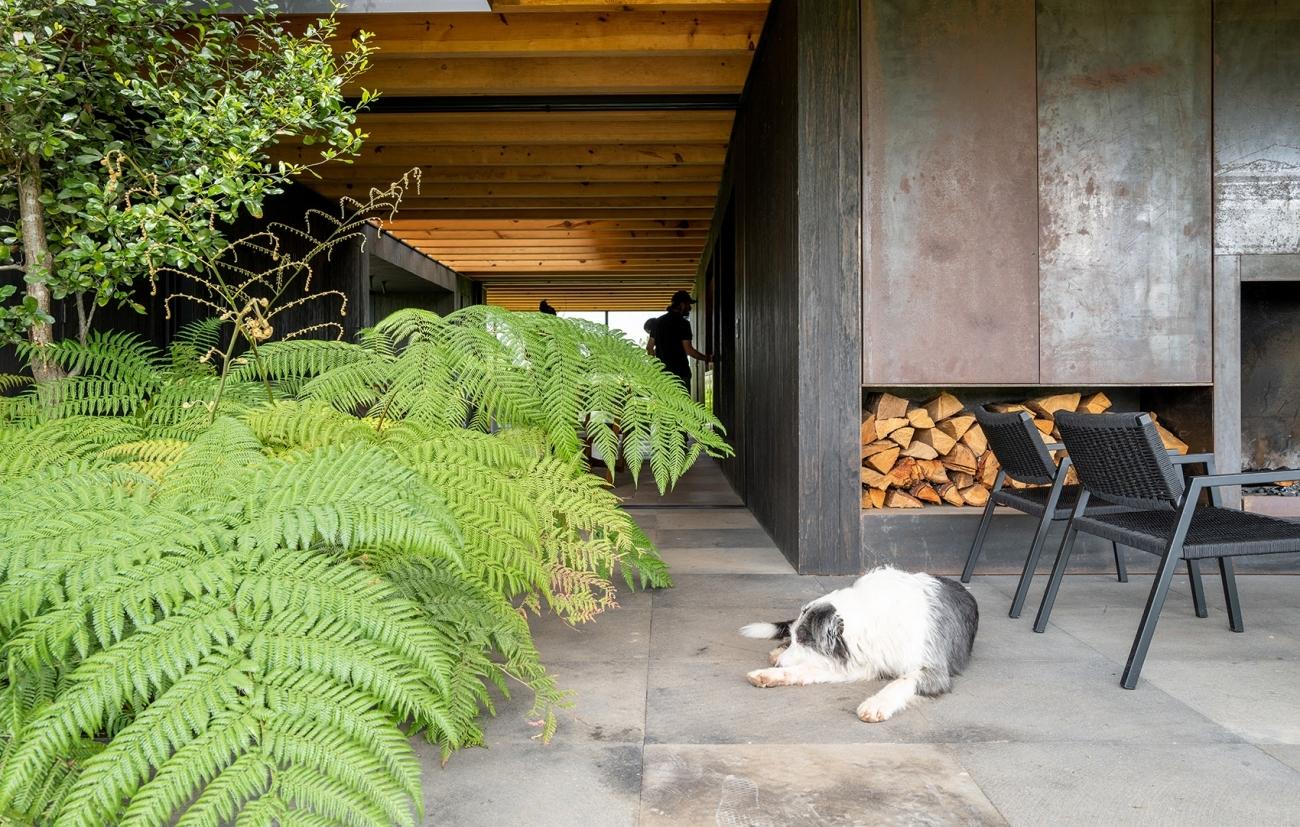 墨西哥雨水收集之家丨Robert Hutchison Architecture-68