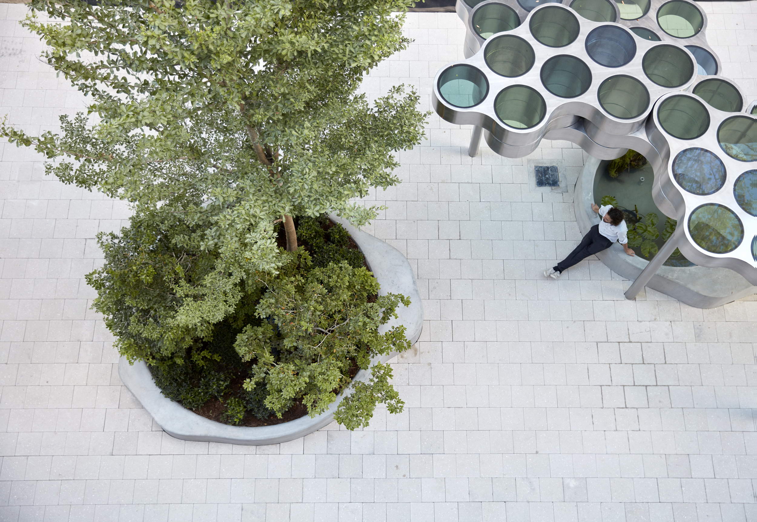 迈阿密“云”雕塑棚架——自然与都市的和谐交融-22