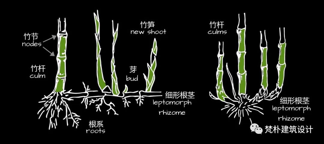 深圳建筑产业生态智谷总部基地一期城市设计丨中国深圳丨梵朴（深圳）建筑设计有限公司-36