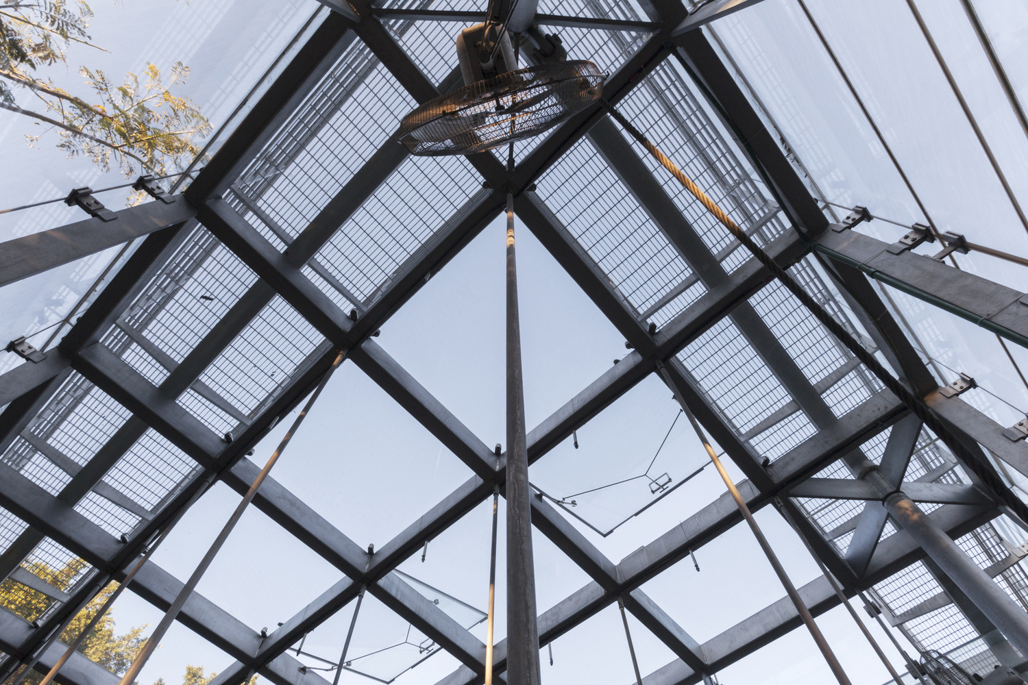 Orchid Educational Pavilion  FGP Atelier-37