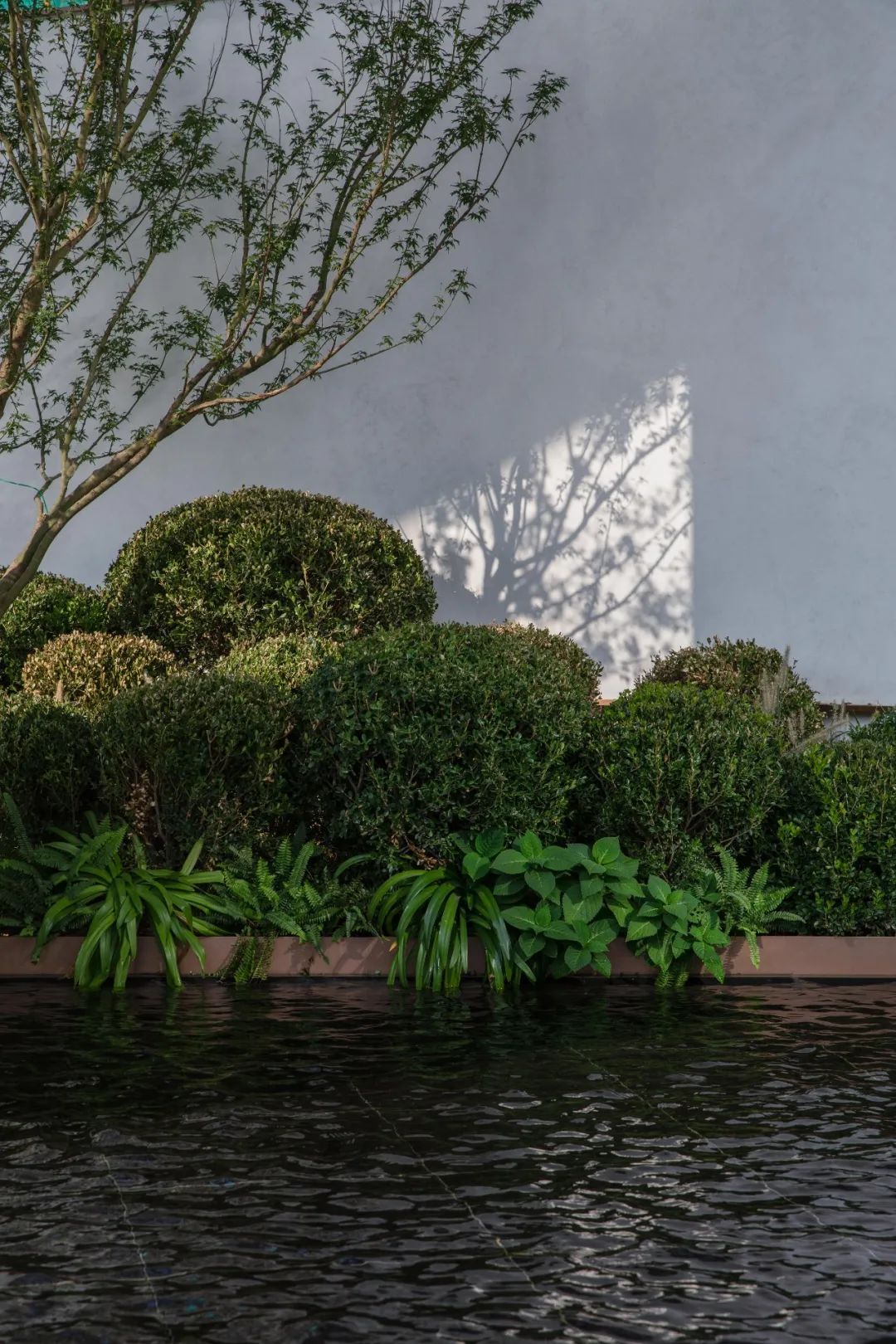 都市花园会客厅 | 镇江融创·京源里-128