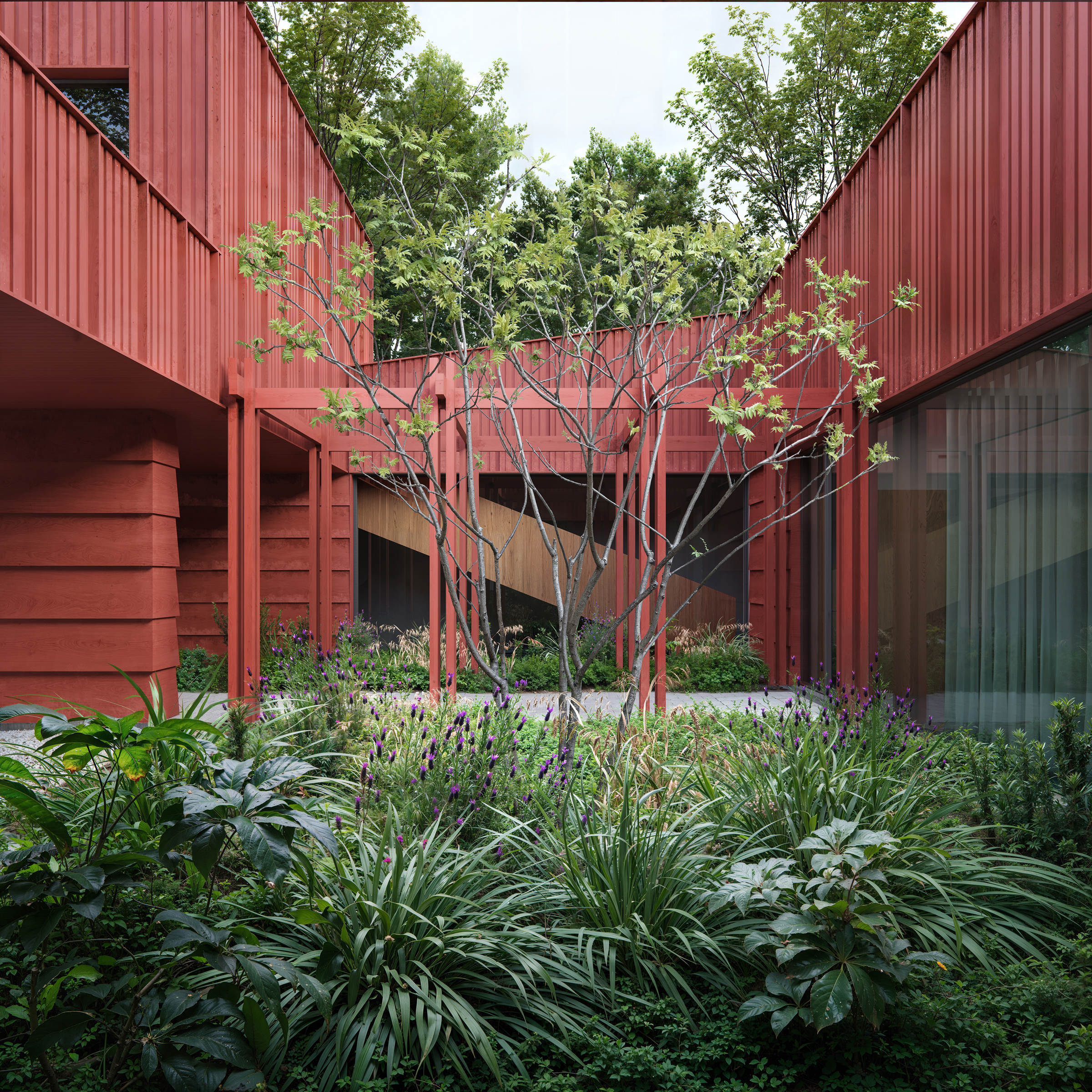 乌什德之家

注：Usсhod可能是特定的名称，由于缺乏更多背景信息，这样的音译可能存在一定不确定性，但按照要求给出了单一的翻译结果如果有更多相关信息，翻译可能会更精准 丨GORA Architects-8