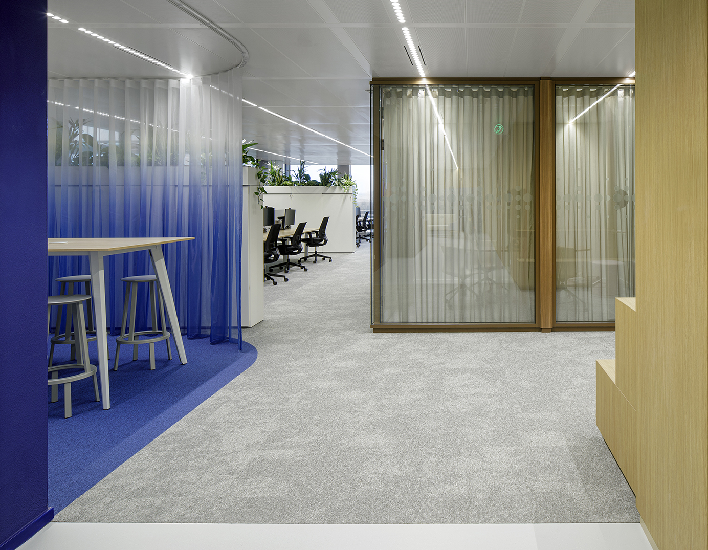 丨荷兰阿姆斯特丹-3