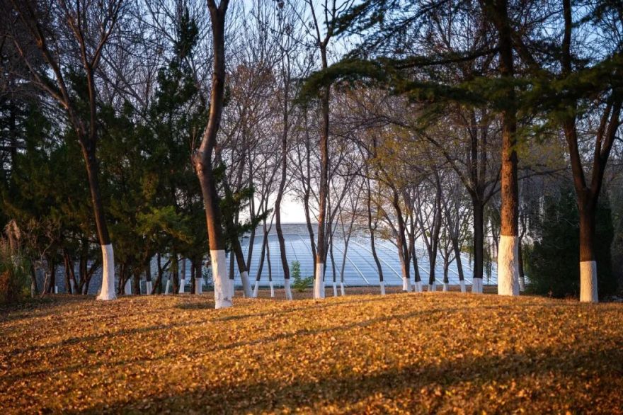 济南植物园科普馆丨中国济南丨中国建筑设计研究院-25