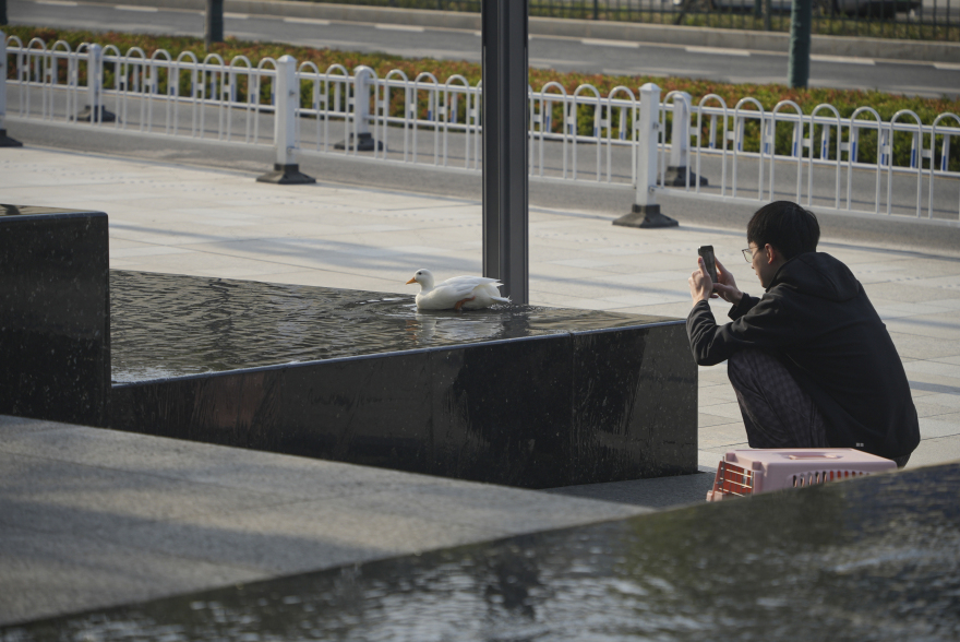 长沙万象城丨中国长沙丨MIND迈德景观,Sasaki,CRTKL楷亚锐衡等-7