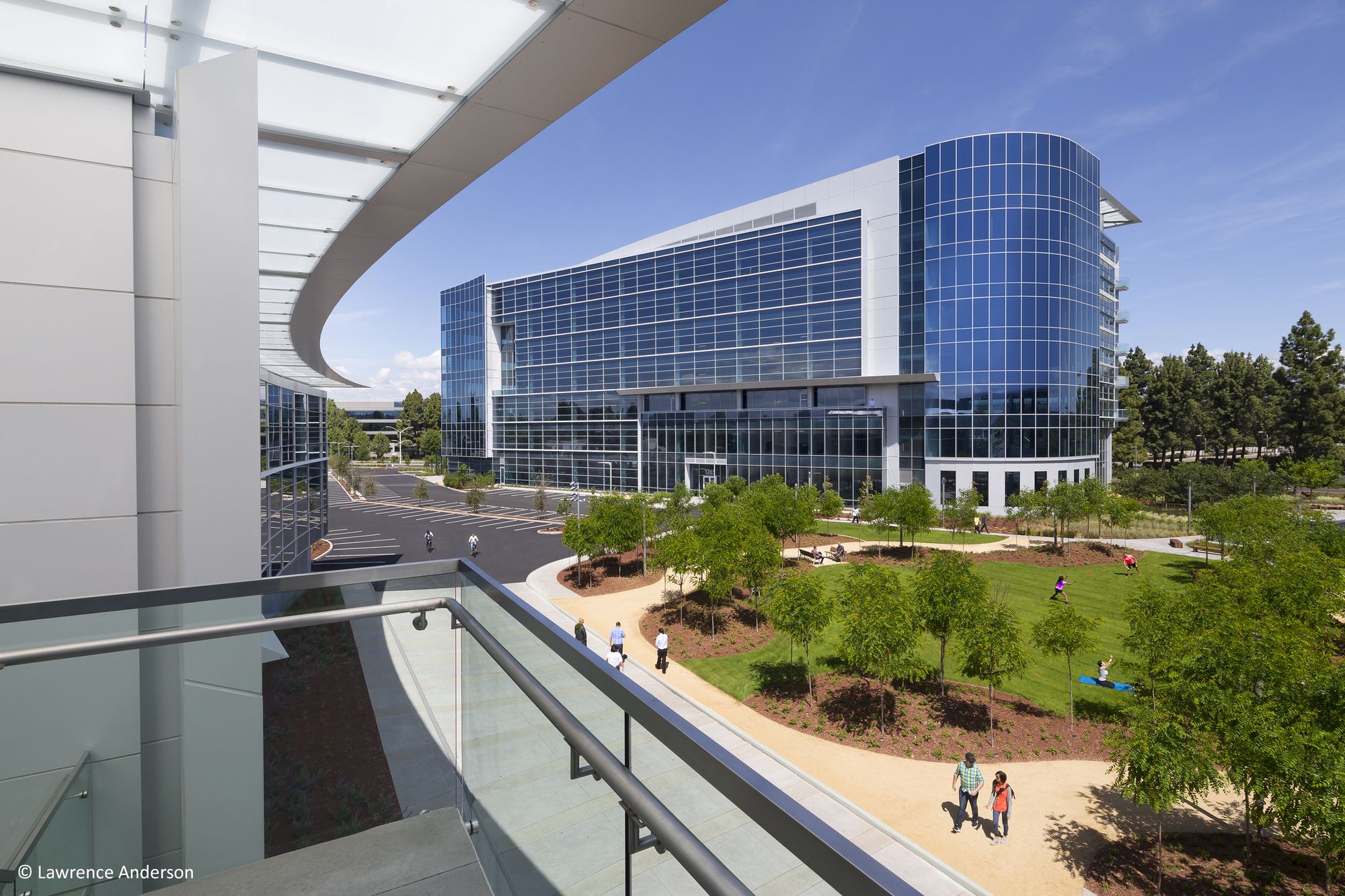 莫菲特网关俱乐部-2