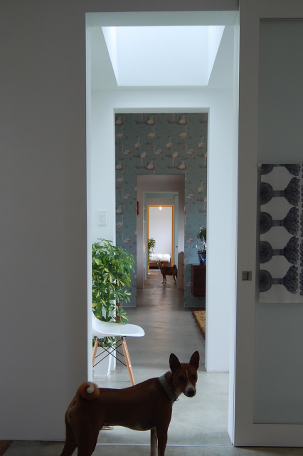 丨日本宫崎丨有限会社 COGITE-17