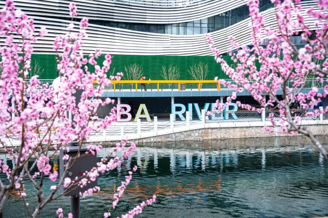 京城水岸再添坝河春色，北京首条游艇航线年底开通！-18