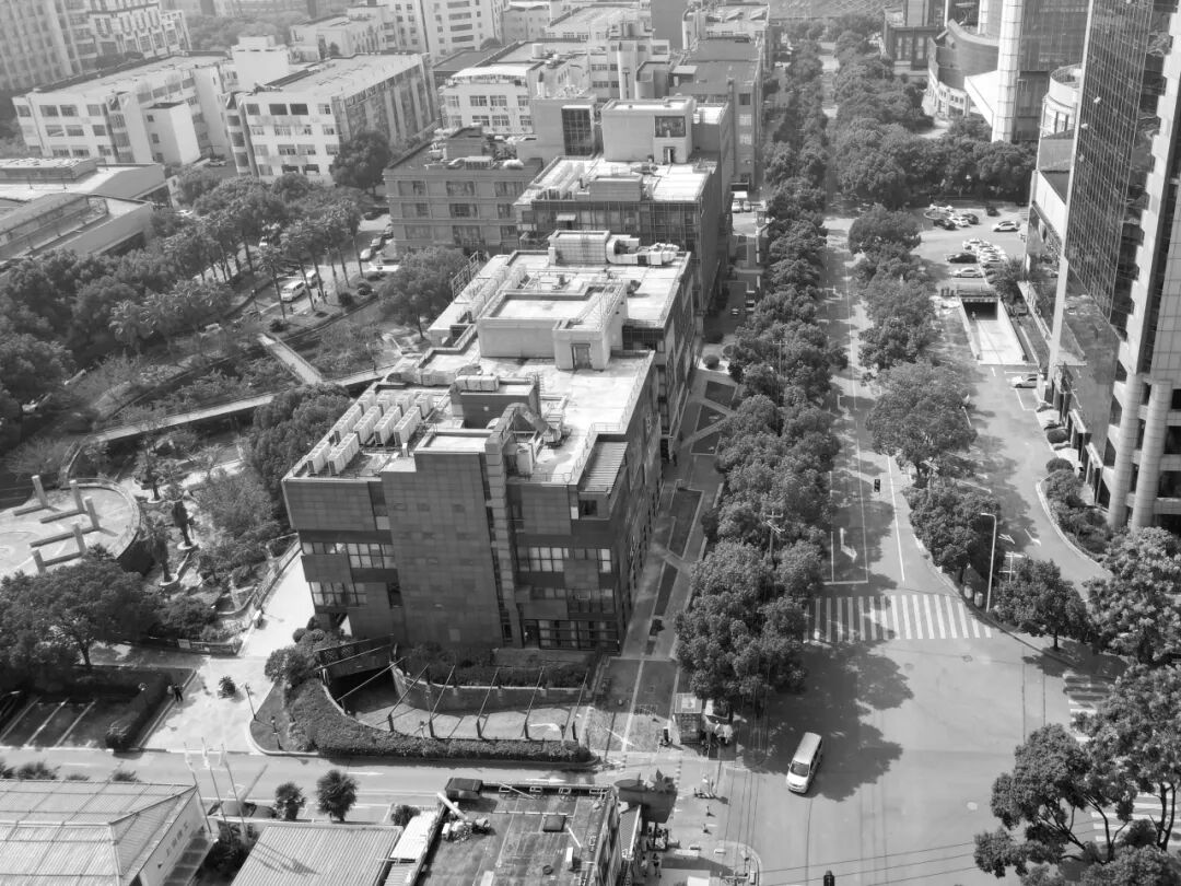 MYP现场|上海金桥碧云玖零广场改造进行时-12