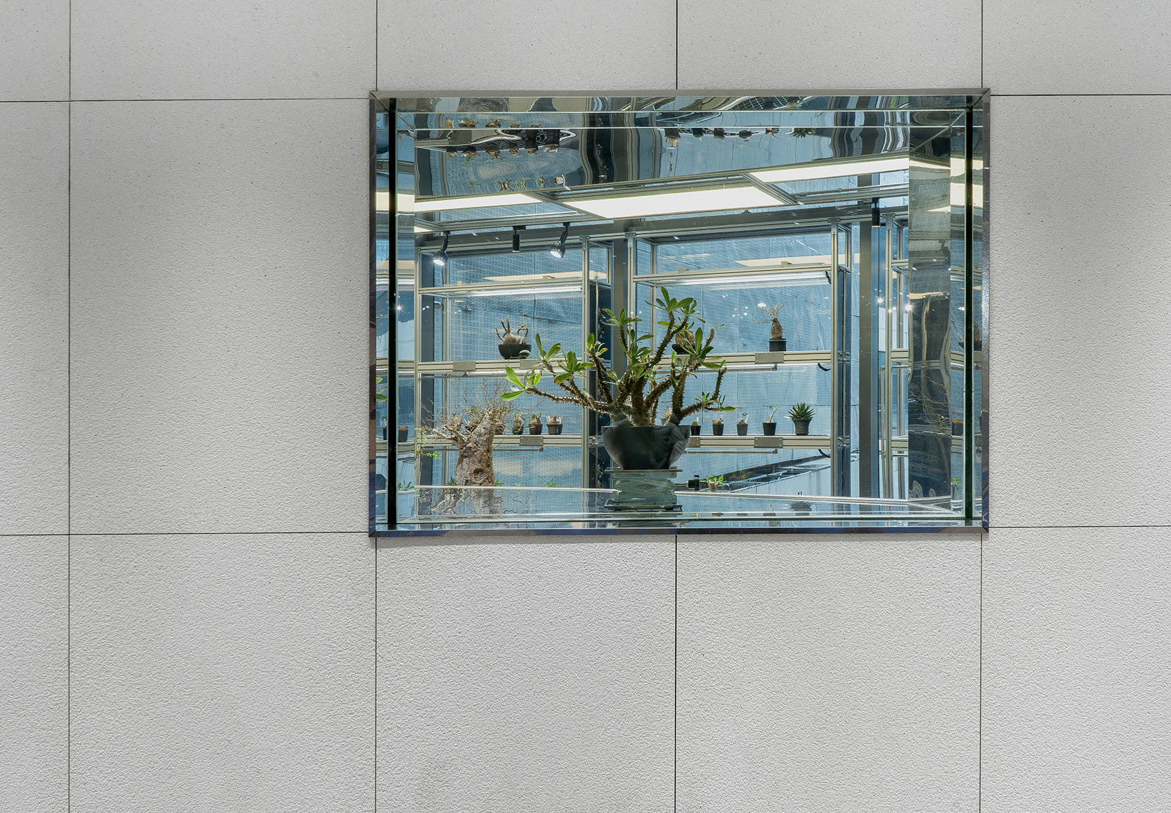 OASIZ 绿洲(HAUS NOWHERE 店)丨中国深圳丨Ruhaus Studio-77