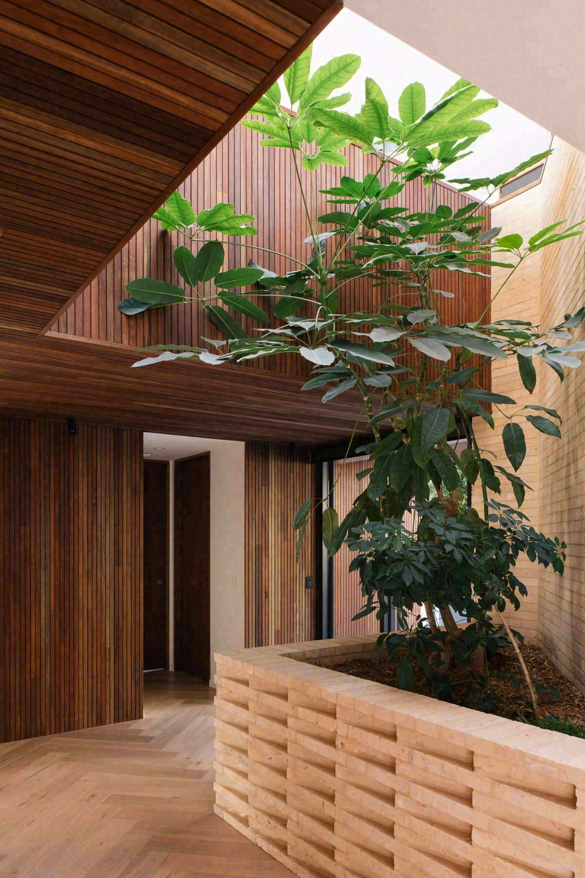 Timber Lantern House by mcmahon and nerlich-19