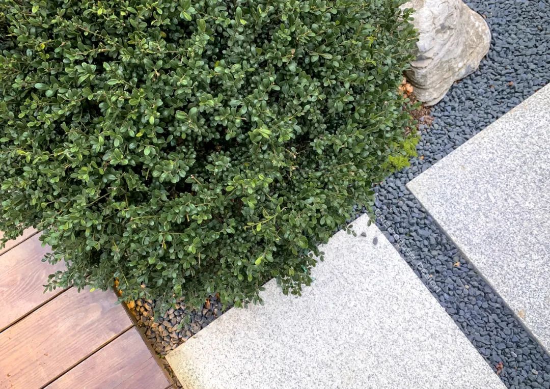 桃李春风庭院丨Crisscross Design-50