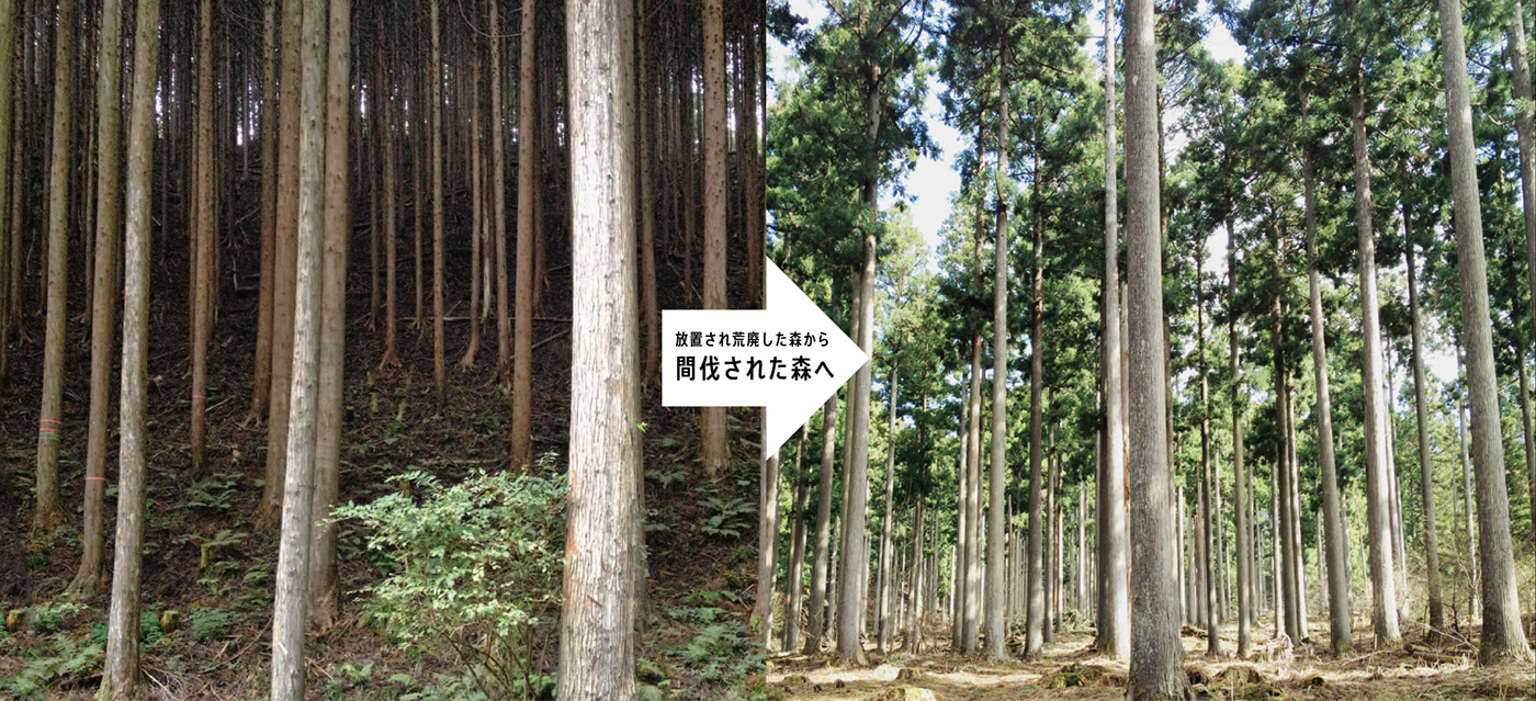 日本 KINOWA 家具品牌 | 环保设计,重振森林生物多样性-0