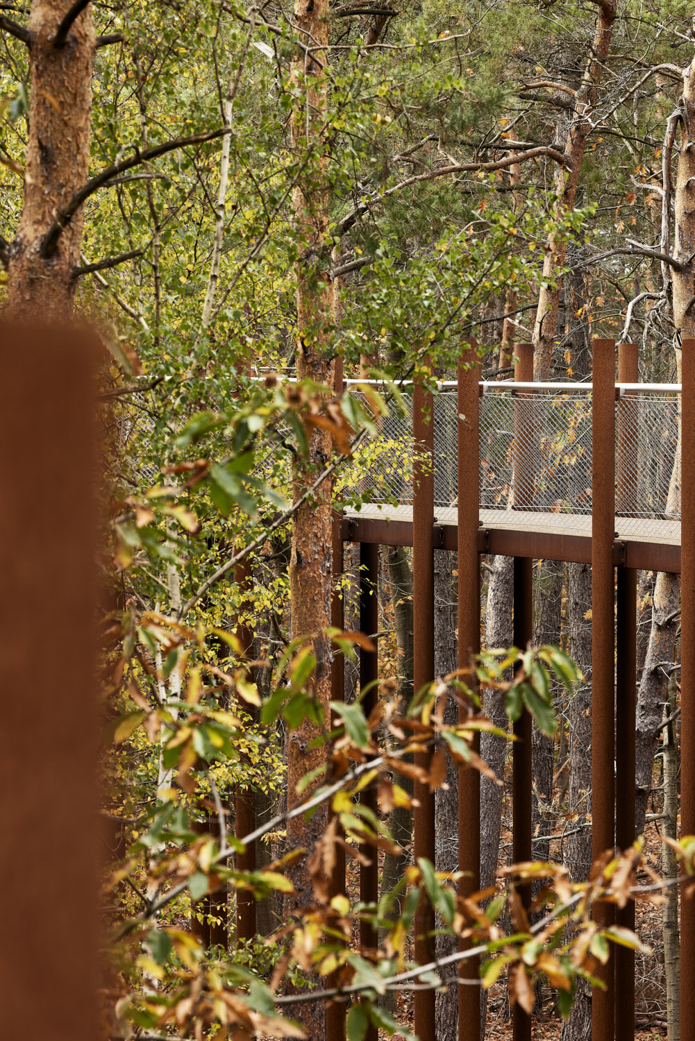 在树林中骑行丨Visit Limburg-15