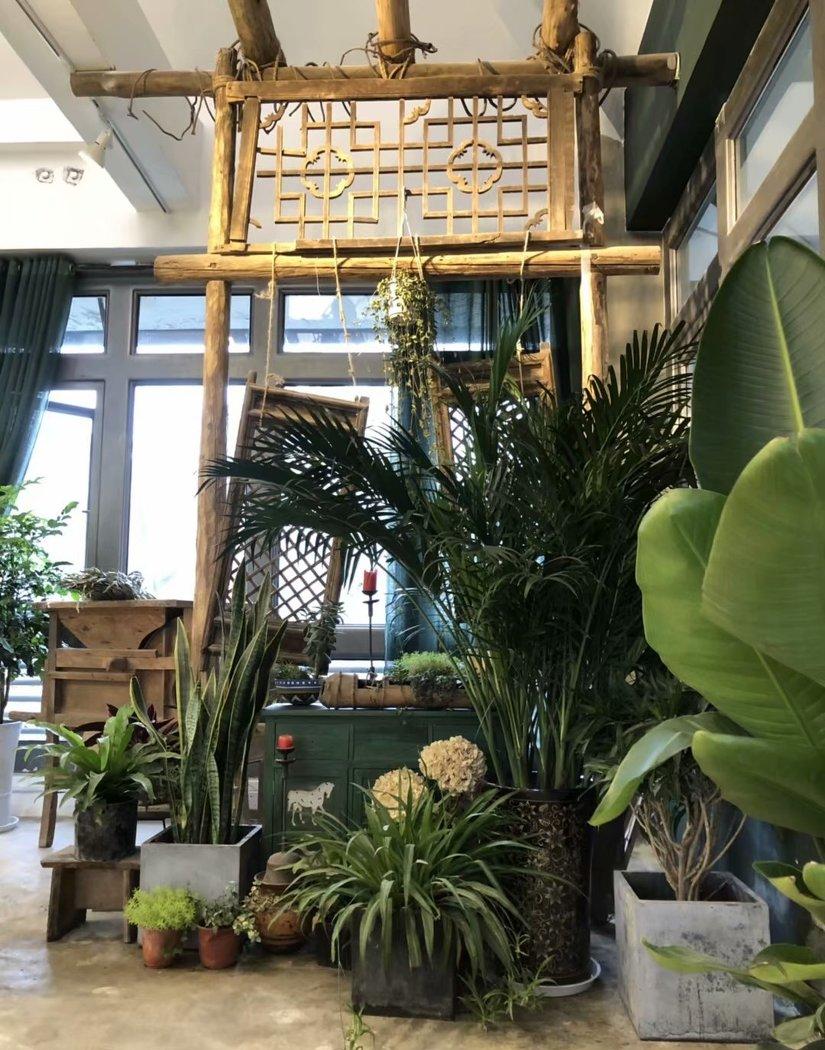 
都江堰 I 木子尹文创工作室 -20