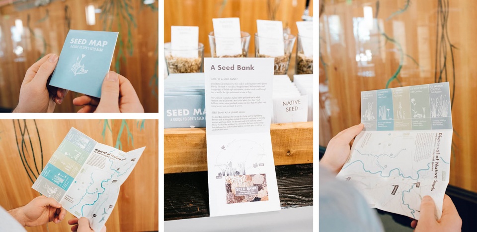 种子银行 | 活体墙的新方法,美国加州 / Miridae-52