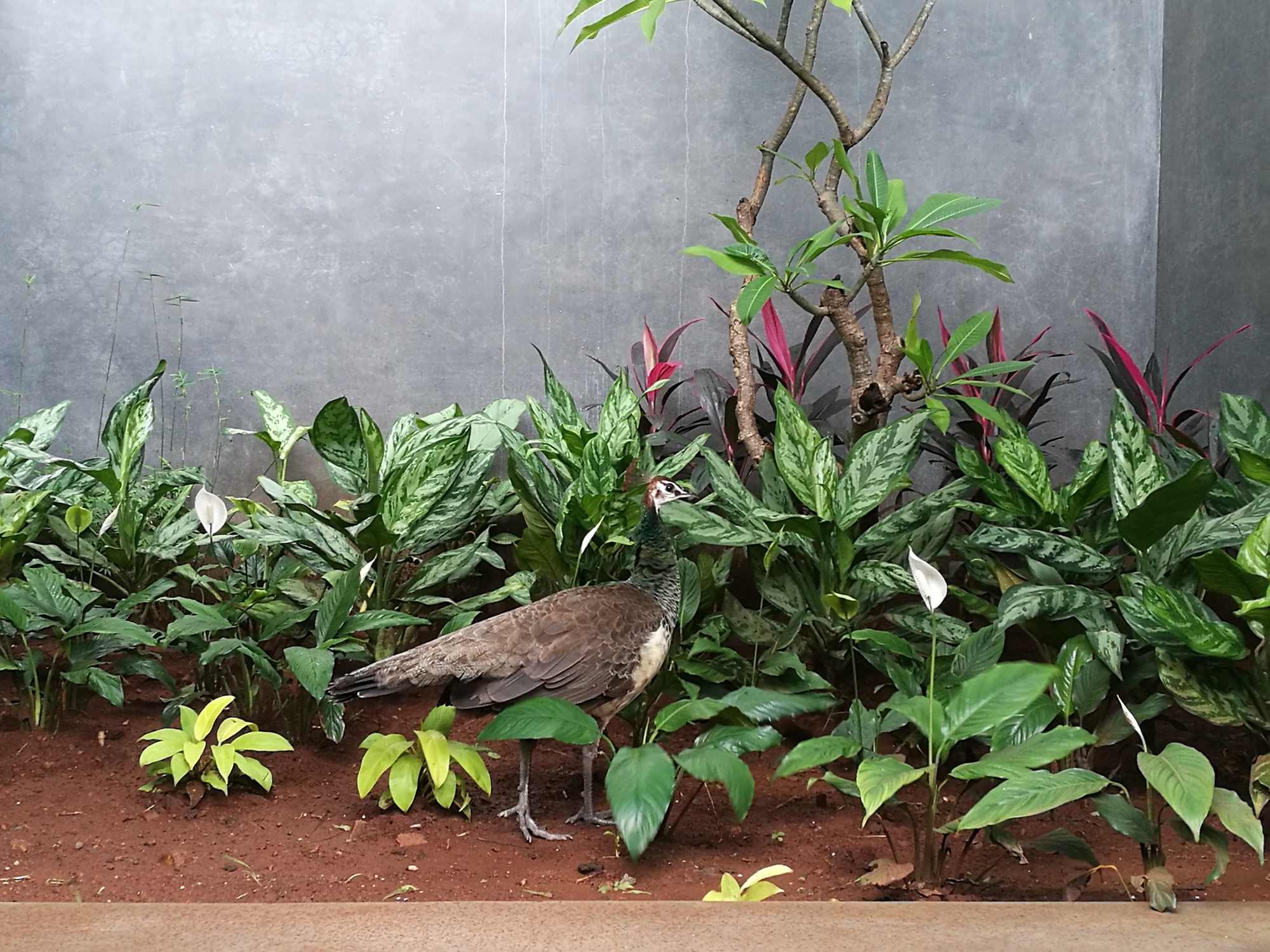 印度 Nasik 办公建筑设计-33