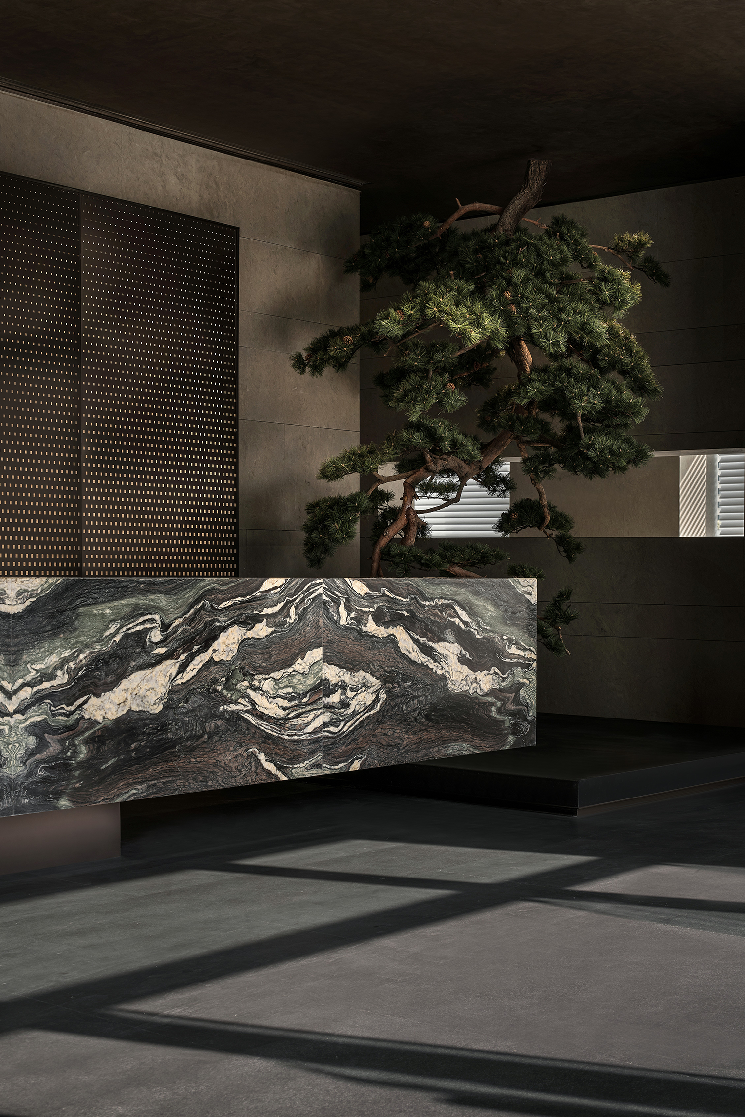 栖霞建设南京G35地块星叶半山玥府丨中国南京丨上海飞视设计-9