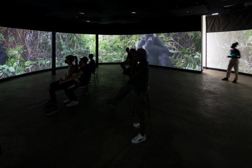 The Ellen DeGeneres Campus of the Dian Fossey Gorilla Fund | MASS Design Group-90