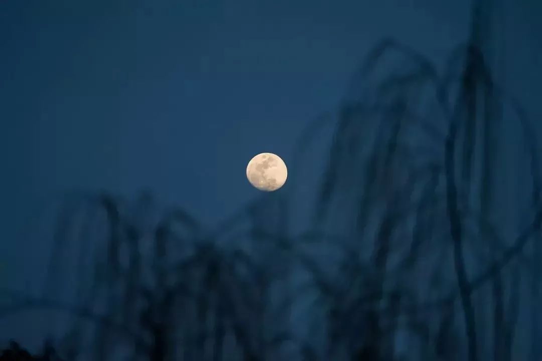 闲暇时光,品读八月的诗与远方-62