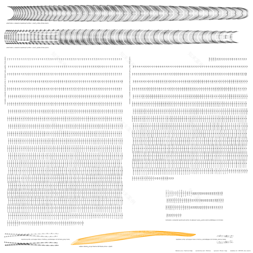 MyoTension Bridge _ Experimental bridge Bratislava_Diploma project | Miroslav Strigáč-36