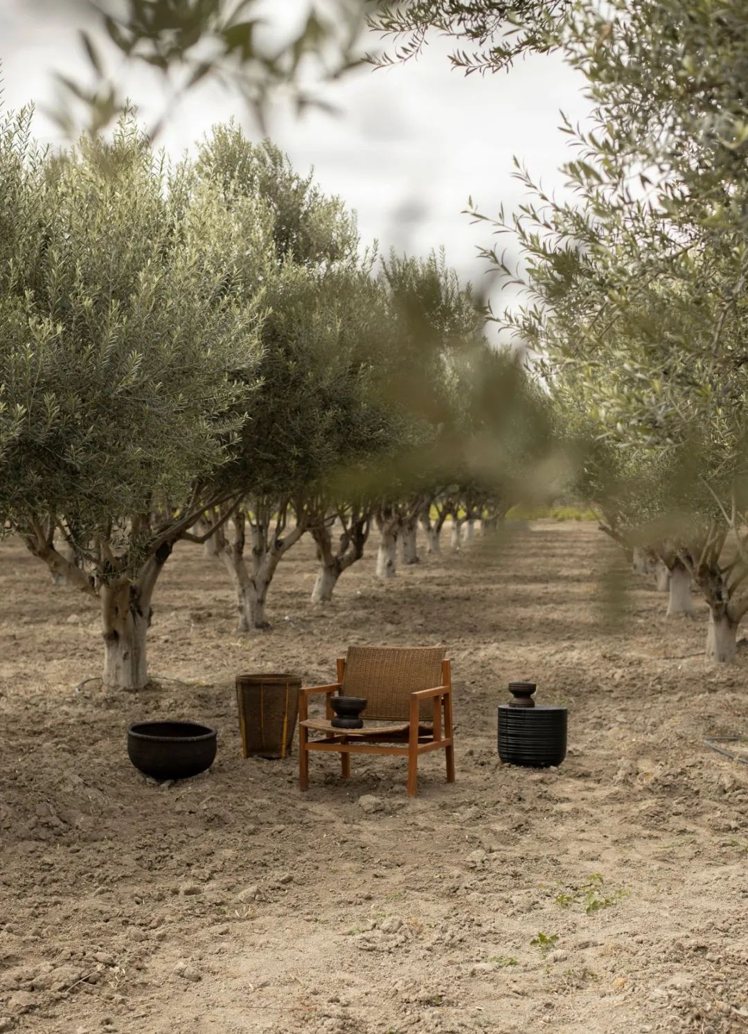 墨西哥 Viatura Omun Hotel丨Aagnes Studio-27