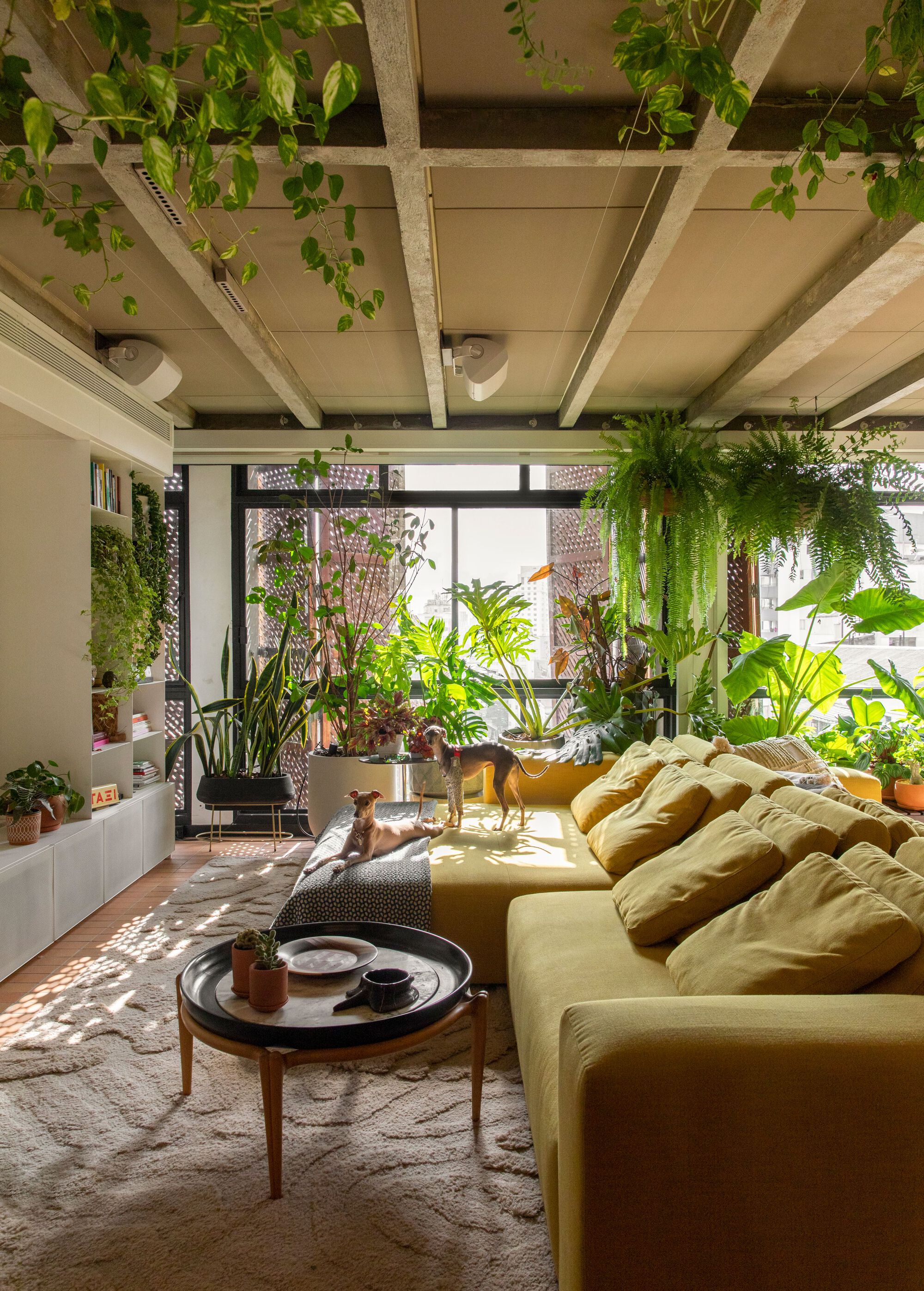 阳台公寓丨巴西圣保罗丨Estudio Guto Requena-57