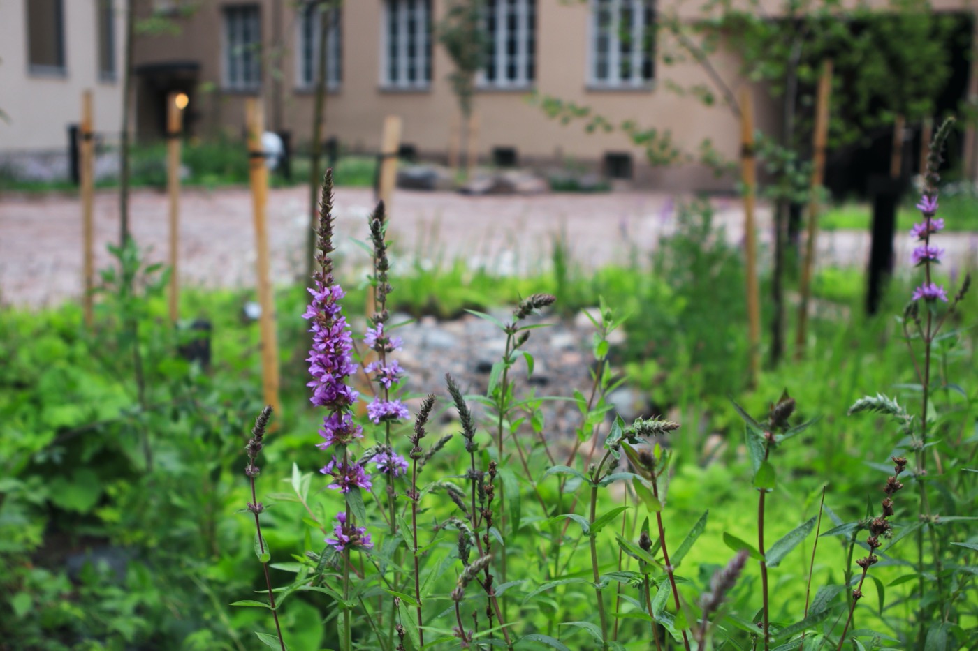 Scandic Grand Central Helsinki Courtyard | 绿色秘境酒店庭院设计-20