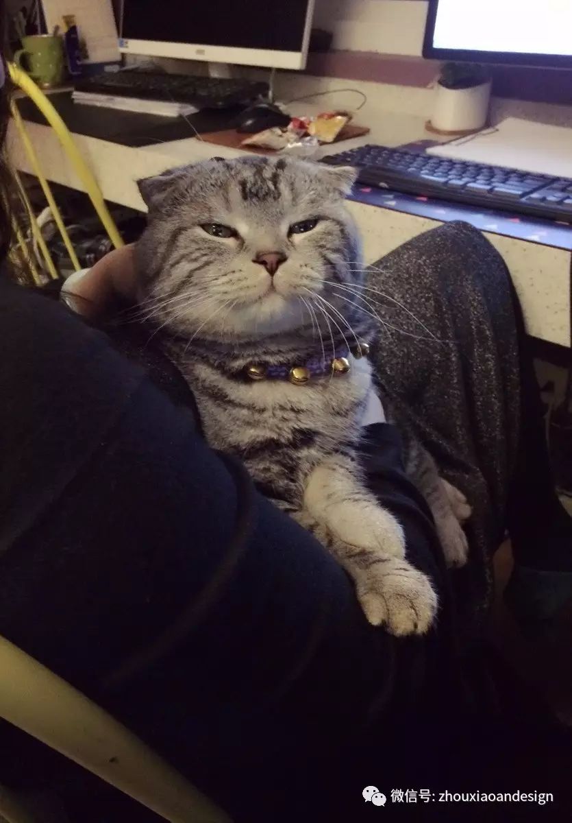 北欧风情的温馨小家 | 上海莱茵北郡 105 平米设计案例-45