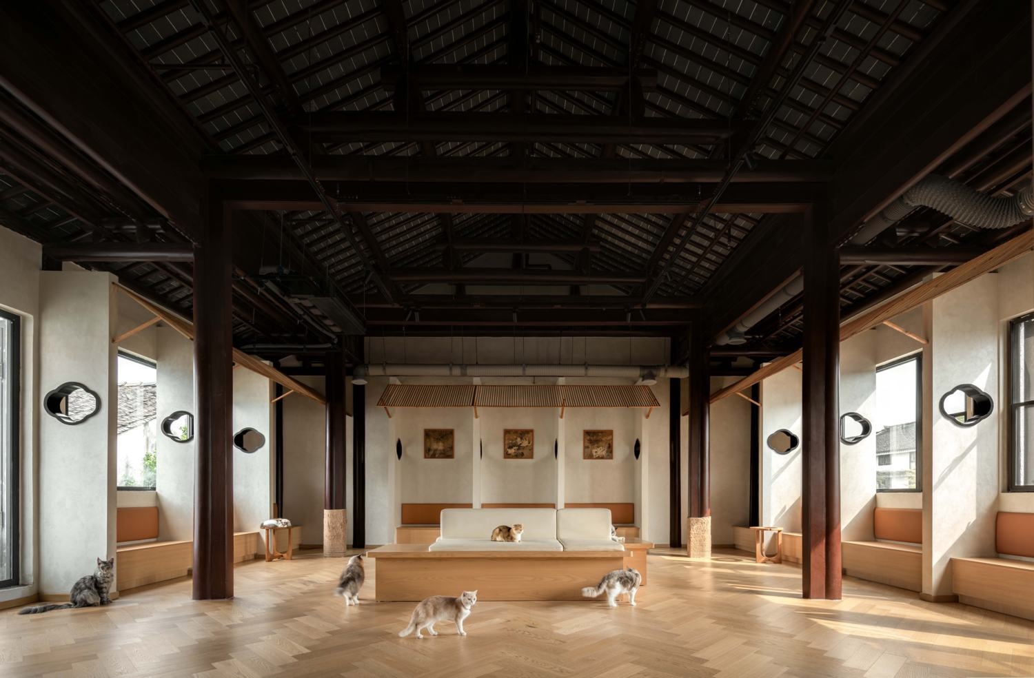 苏州平江老街的萌宠空间丨平介设计-11