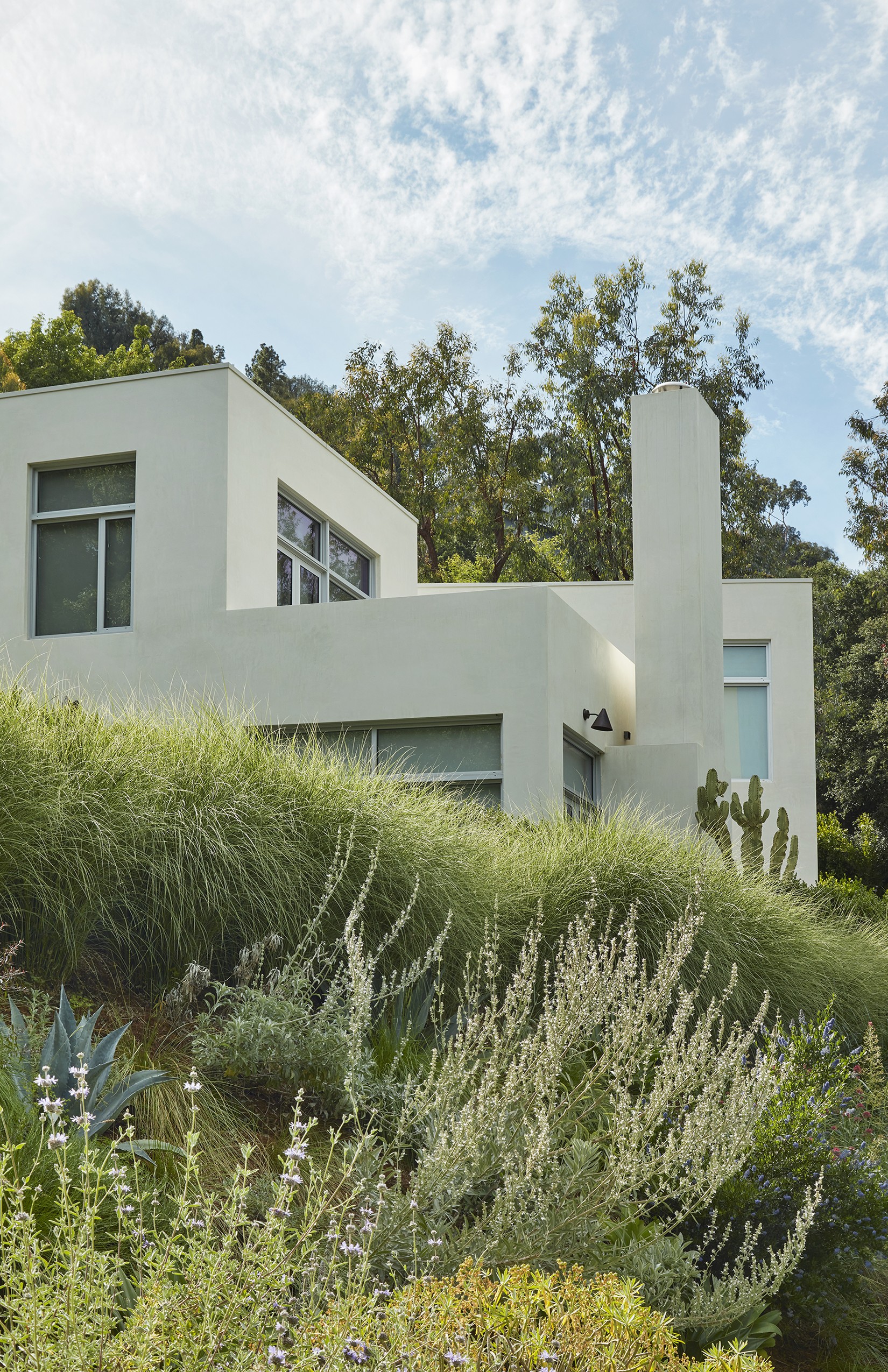 门前野趣丨TERREMOTO-95