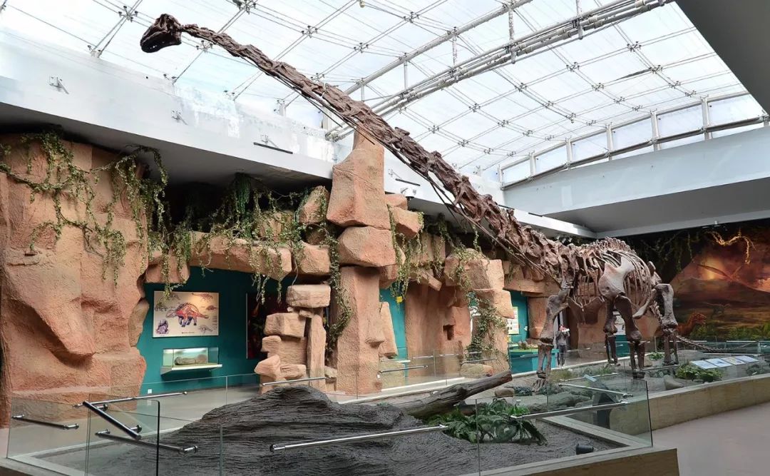 西安-- 甘肃-- 青海-- 西藏-- 云南环游之旅 | 诗和远方的田野-34