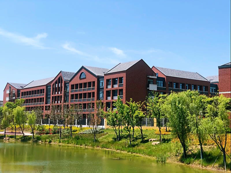 北外新华外国语学校 · 森林校园的绿洲设计丨中国阜阳丨侯其明,喻丽萍,丁一川,黄明,黄晓峰,于春艳,黄丰华-3