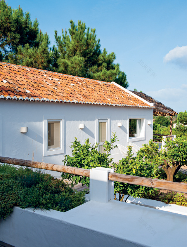 Comporta's 'Straw House' Inspired by Fishermen and Farmers | VISI-3