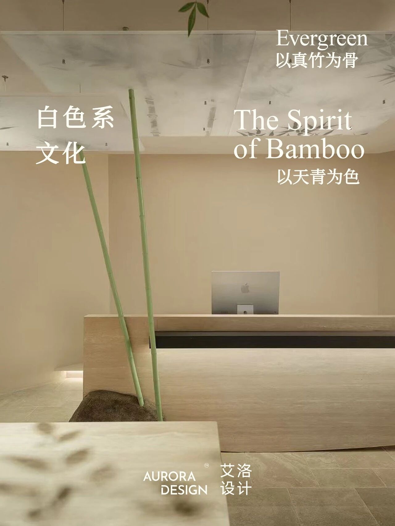 上海白色系文化公司丨中国上海丨艾洛设计（AURORA DESIGN）-0