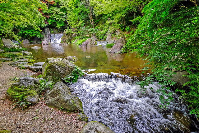 万博記念公園（日本庭園・自然文化園）丨安哥拉万博-25