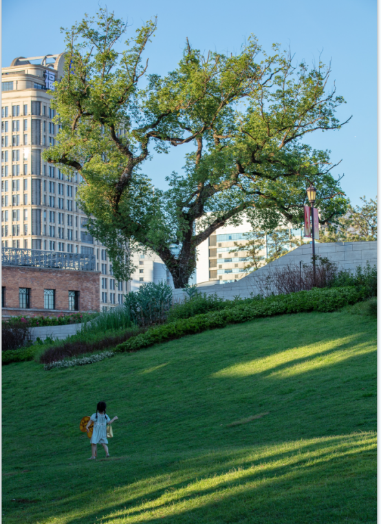 闽江之心·福州青年广场设计丨中国福州-64