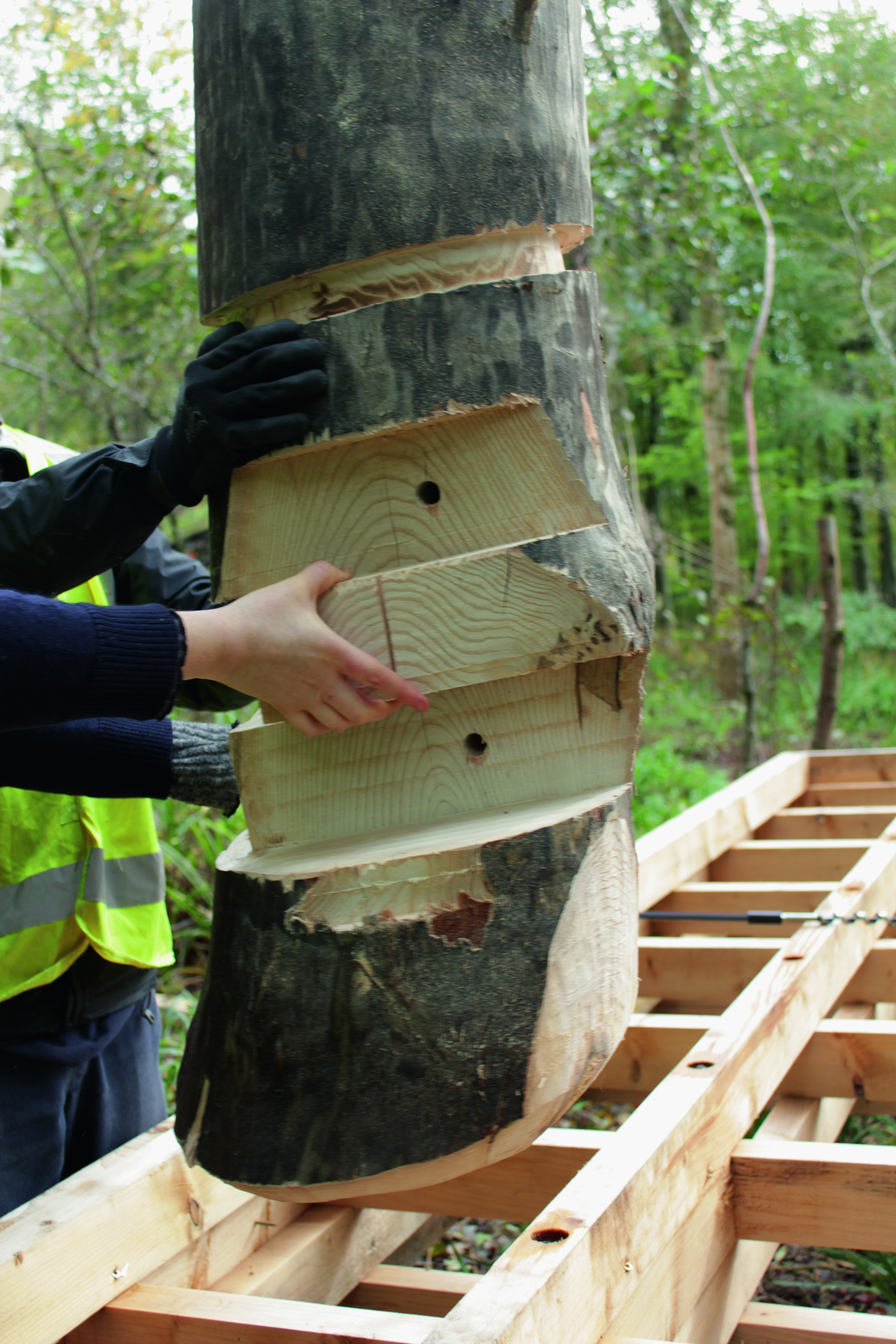 林地小屋丨英国丨AA Design and Make-41