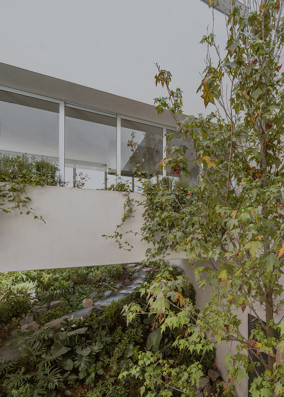 CAÑADA 之家丨墨西哥丨Escobedo Soliz-29