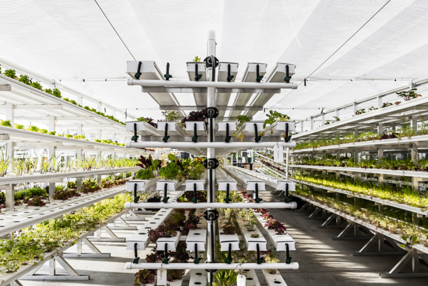 墨尔本都市屋顶农场餐厅 Acre Eatery-15