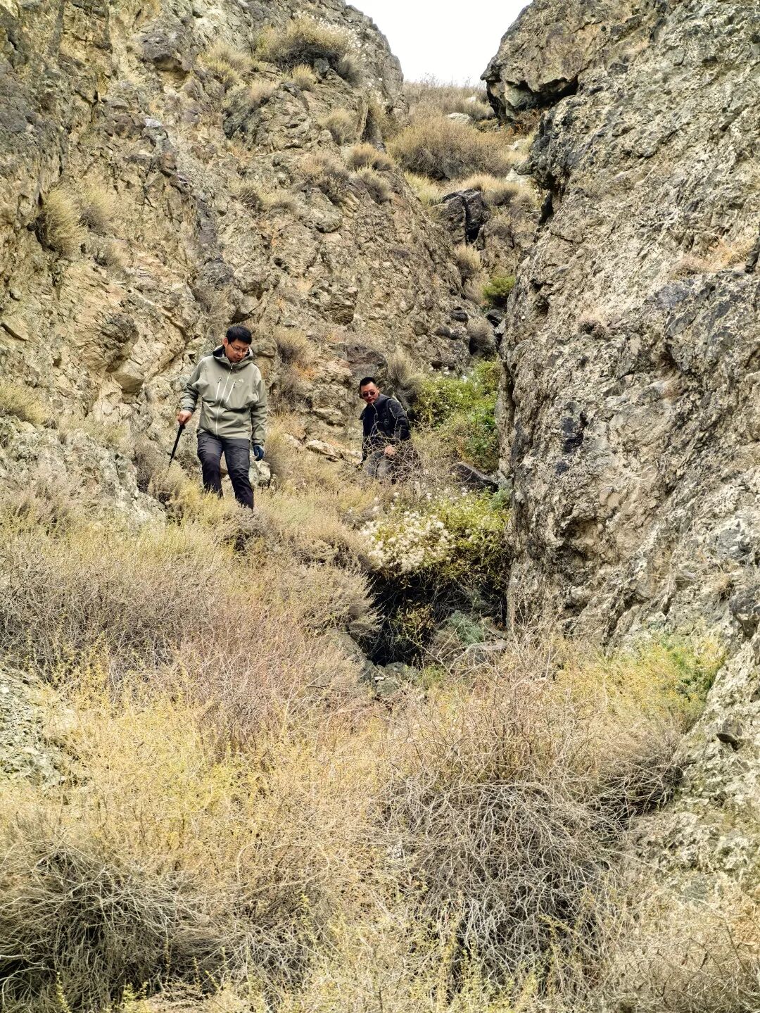 天山作证：独库高速上的匠心与坚守公规院工程师征服雪域天堑纪实-56