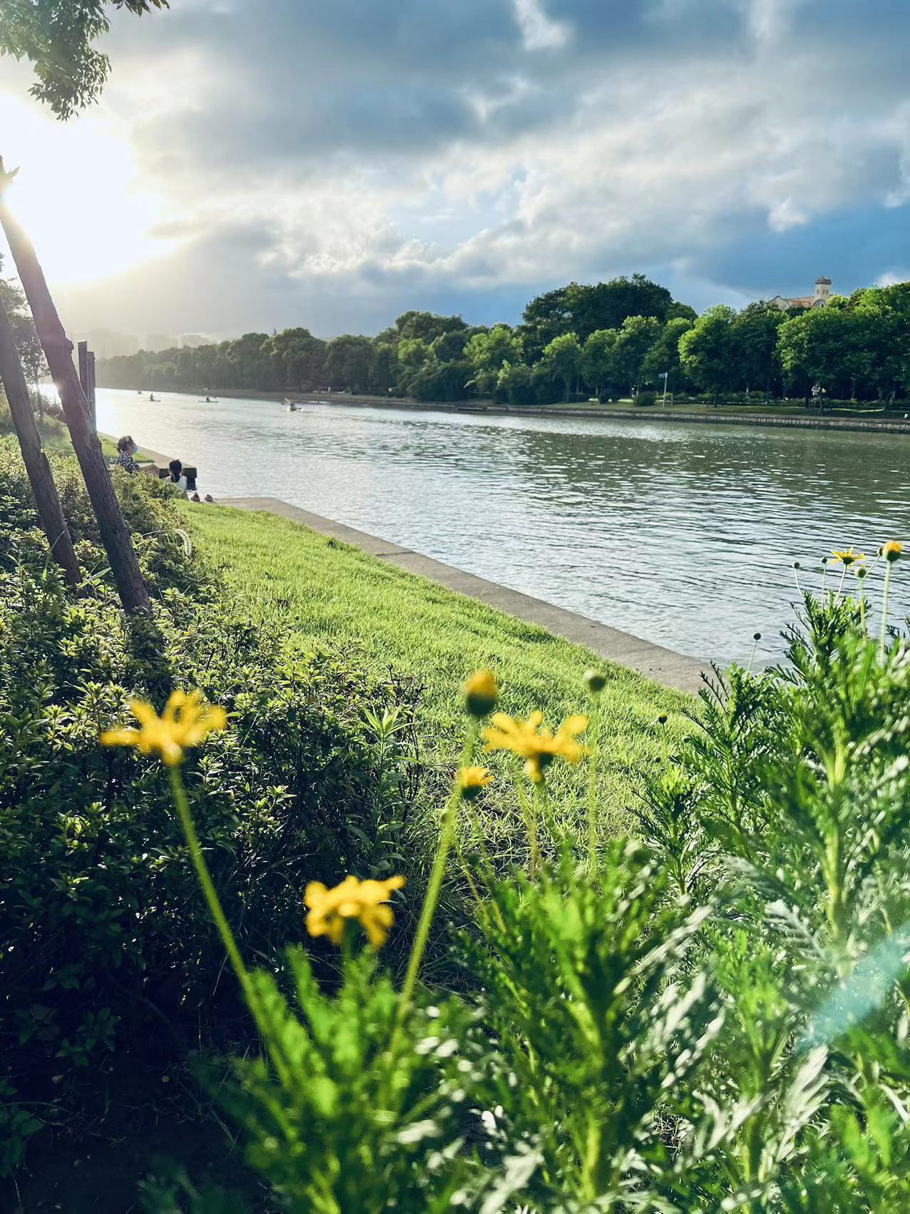 上海浦东张家浜 | Shanghai-1