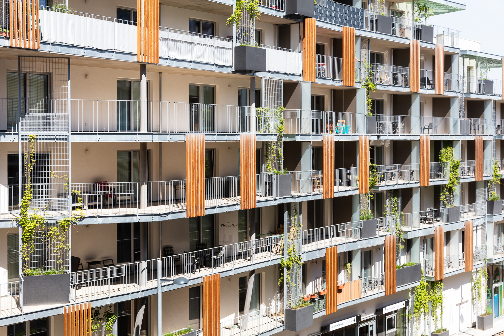 生活花园丨INNOBA-5