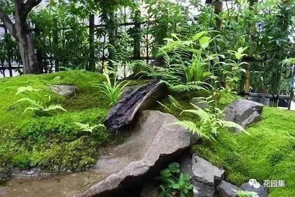 最美不过苔造园,探寻东方庭院的诗意之美-2