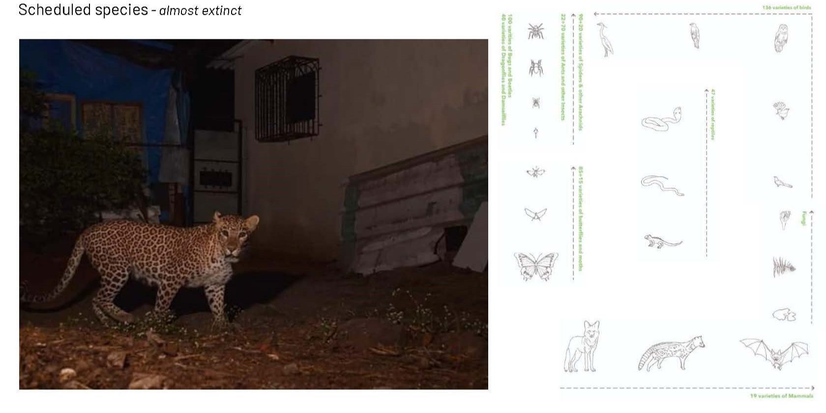 Reimagining Urban and Development Narratives-11